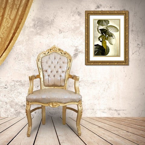 Umbrella Gold Ornate Wood Framed Art Print with Double Matting by Vintage Apple Collection