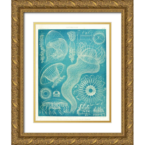 Jellyfish Sealife Gold Ornate Wood Framed Art Print with Double Matting by Vintage Apple Collection