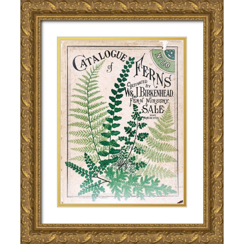 Ferns 2 Gold Ornate Wood Framed Art Print with Double Matting by Vintage Apple Collection