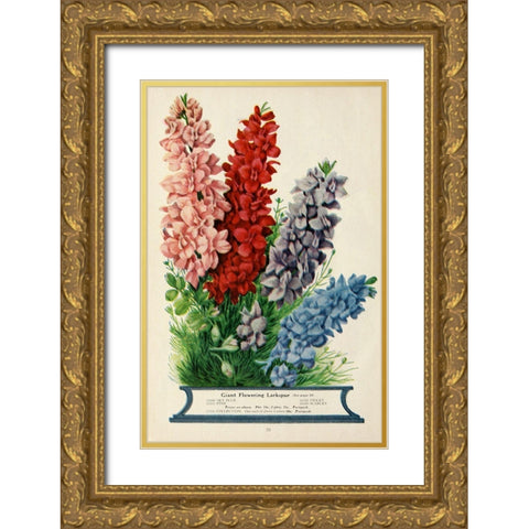 childs_larkspur Gold Ornate Wood Framed Art Print with Double Matting by Vintage Apple Collection