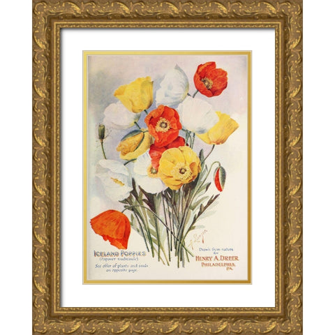 poppies-dreer1907 Gold Ornate Wood Framed Art Print with Double Matting by Vintage Apple Collection