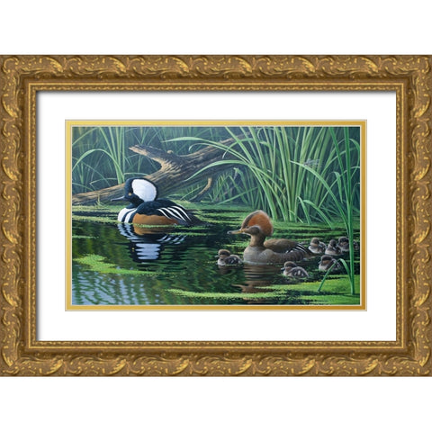 Merganser Gold Ornate Wood Framed Art Print with Double Matting by Goebel, Wilhelm