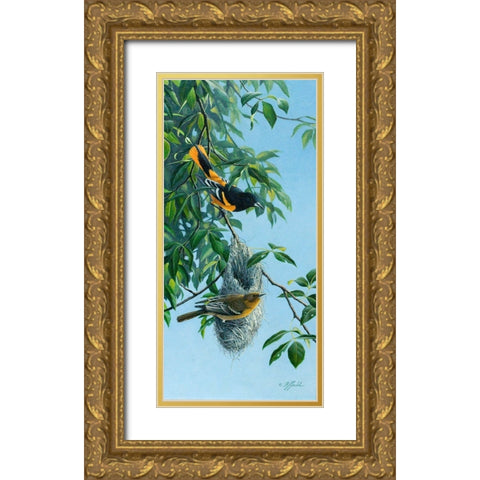 Nesting Orioles Gold Ornate Wood Framed Art Print with Double Matting by Goebel, Wilhelm