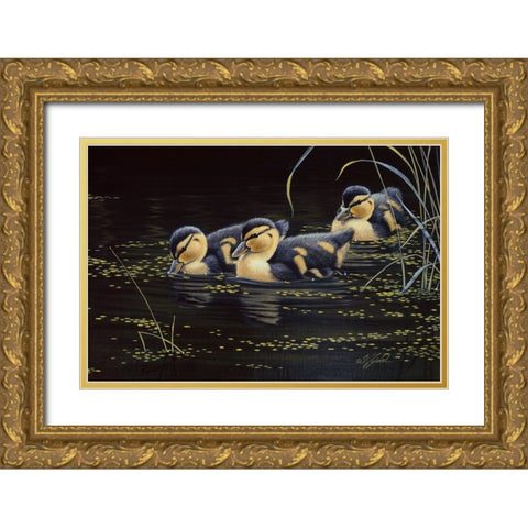 Mallard Ducklings Gold Ornate Wood Framed Art Print with Double Matting by Goebel, Wilhelm