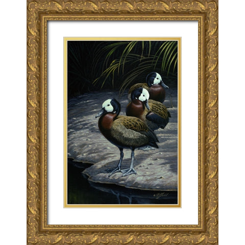 White Faced Whistleing Ducks Gold Ornate Wood Framed Art Print with Double Matting by Goebel, Wilhelm
