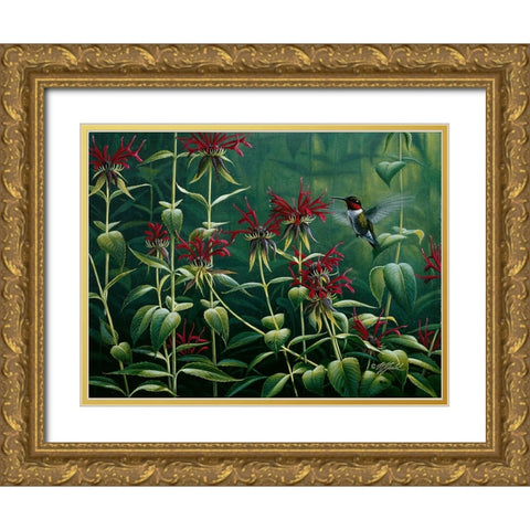 Ruby Throat Hummingbird And Monarda Gold Ornate Wood Framed Art Print with Double Matting by Goebel, Wilhelm