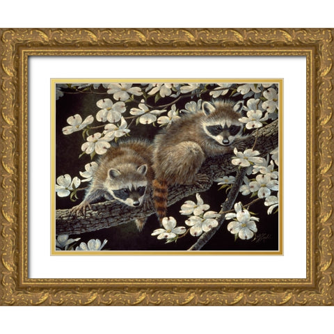 Dogwood Hideout - Young Raccoons Gold Ornate Wood Framed Art Print with Double Matting by Goebel, Wilhelm