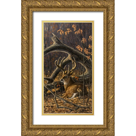 Bedded Buck Gold Ornate Wood Framed Art Print with Double Matting by Goebel, Wilhelm