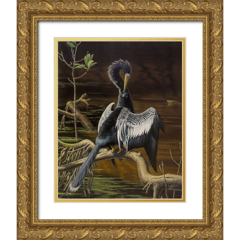 Preening Anhinga Gold Ornate Wood Framed Art Print with Double Matting by Goebel, Wilhelm
