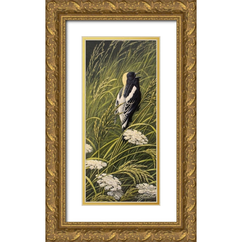 Summer Song - Bobolink Gold Ornate Wood Framed Art Print with Double Matting by Goebel, Wilhelm
