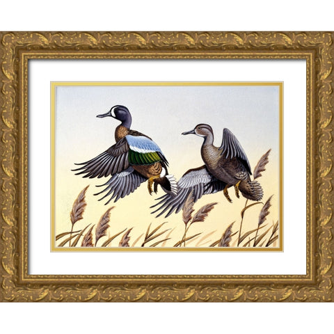 1981 Blue-Winged Teal Gold Ornate Wood Framed Art Print with Double Matting by Goebel, Wilhelm