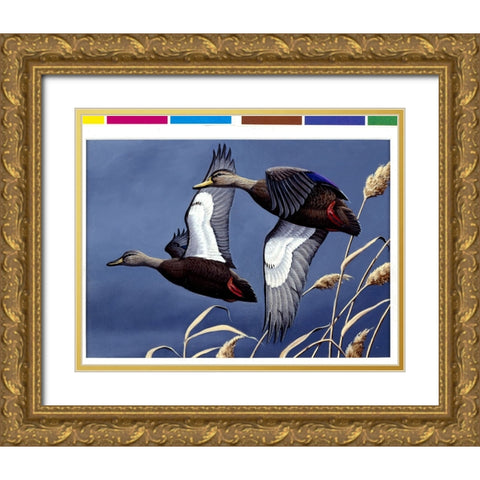 1984 Black Ducks Gold Ornate Wood Framed Art Print with Double Matting by Goebel, Wilhelm