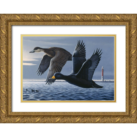 1990 Black Scoters Gold Ornate Wood Framed Art Print with Double Matting by Goebel, Wilhelm