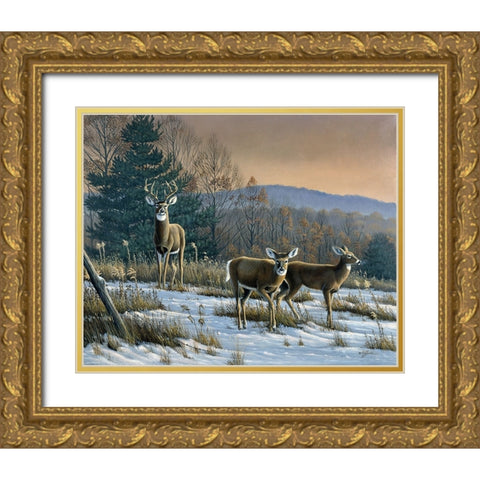 Prime Time - Whitetail Deer Gold Ornate Wood Framed Art Print with Double Matting by Goebel, Wilhelm