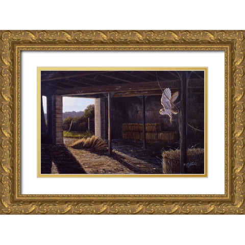 On Silent Wings - Barn Owl Gold Ornate Wood Framed Art Print with Double Matting by Goebel, Wilhelm