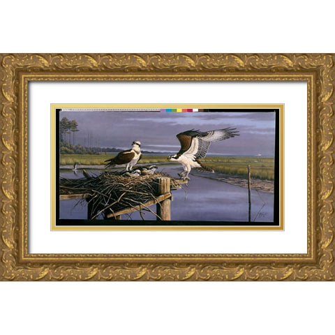 Chesapeake Treasurers - Osprey Gold Ornate Wood Framed Art Print with Double Matting by Goebel, Wilhelm