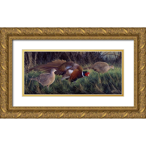 Ringneck Rendevous Gold Ornate Wood Framed Art Print with Double Matting by Goebel, Wilhelm