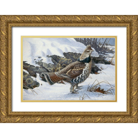 Ruffed Grouse Gold Ornate Wood Framed Art Print with Double Matting by Goebel, Wilhelm