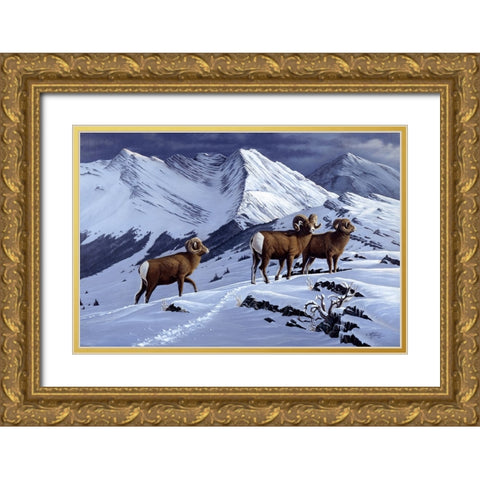 High Country Rams Gold Ornate Wood Framed Art Print with Double Matting by Goebel, Wilhelm