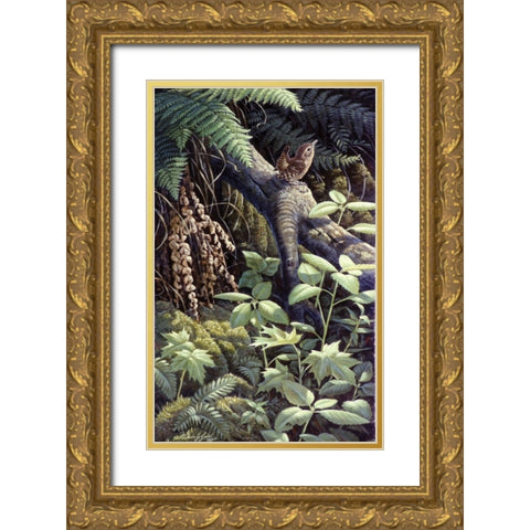 On A Limb Gold Ornate Wood Framed Art Print with Double Matting by Goebel, Wilhelm