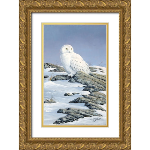 Snowy Owl Gold Ornate Wood Framed Art Print with Double Matting by Goebel, Wilhelm