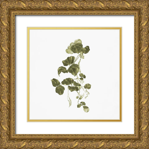 Leaves In Autumn Green 1 Gold Ornate Wood Framed Art Print with Double Matting by Adebowale