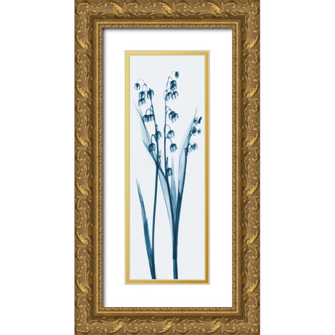 Lily of the Valley in Blue Gold Ornate Wood Framed Art Print with Double Matting by Koetsier, Albert