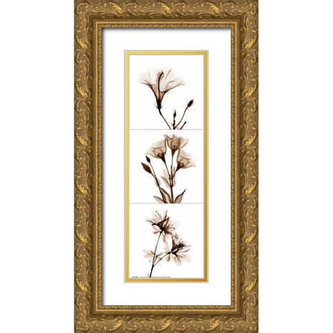 Sepia Floral Tryp Tych I Gold Ornate Wood Framed Art Print with Double Matting by Koetsier, Albert