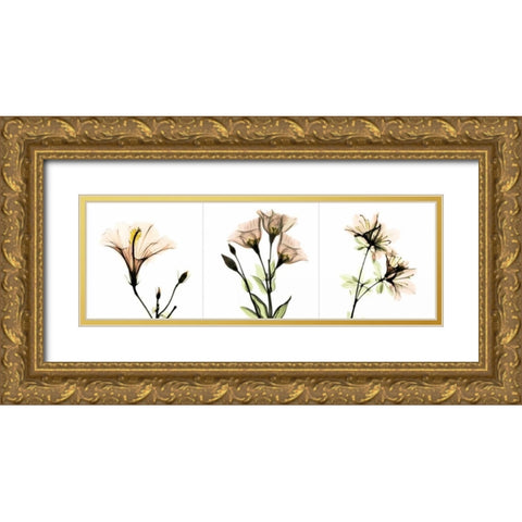 Pink Floral Tryp Tych I Gold Ornate Wood Framed Art Print with Double Matting by Koetsier, Albert