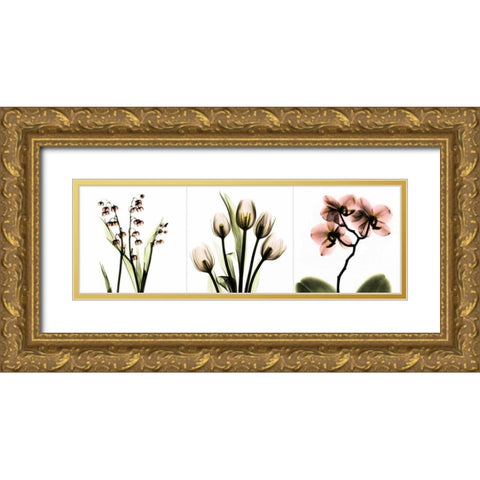 Pink Floral Tryp Tych II Gold Ornate Wood Framed Art Print with Double Matting by Koetsier, Albert