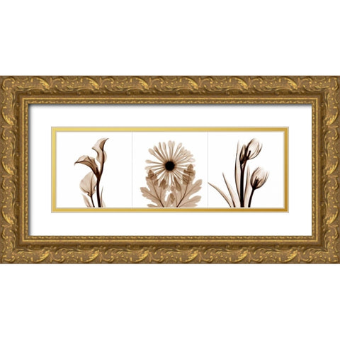 Sepia Floral Tryp Tych III Gold Ornate Wood Framed Art Print with Double Matting by Koetsier, Albert