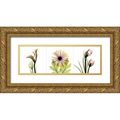 Pink Floral Tryp Tych III Gold Ornate Wood Framed Art Print with Double Matting by Koetsier, Albert