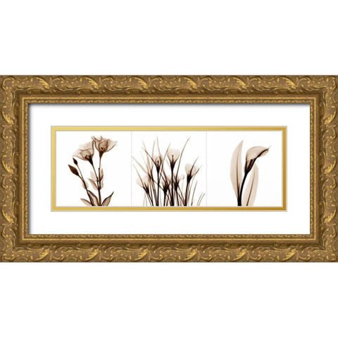 Sepia Floral Tryp Tych IV Gold Ornate Wood Framed Art Print with Double Matting by Koetsier, Albert