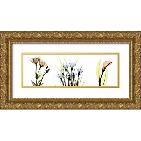 Multi-color Floral Tryp Tych I Gold Ornate Wood Framed Art Print with Double Matting by Koetsier, Albert