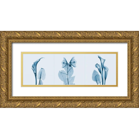 Lilies Triple in Blue Gold Ornate Wood Framed Art Print with Double Matting by Koetsier, Albert