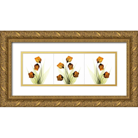 Sandersonia Triple in Gold Gold Ornate Wood Framed Art Print with Double Matting by Koetsier, Albert