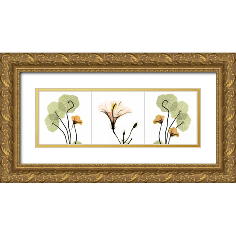 Triple in Color Gold Ornate Wood Framed Art Print with Double Matting by Koetsier, Albert