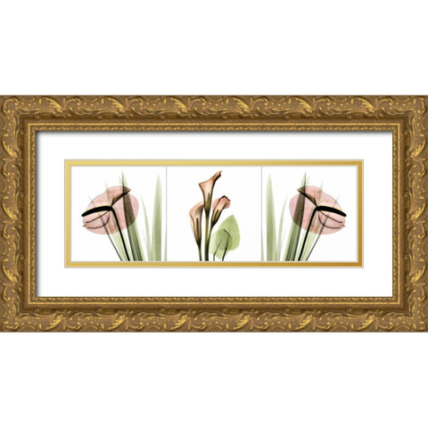 Triple in Pink Gold Ornate Wood Framed Art Print with Double Matting by Koetsier, Albert