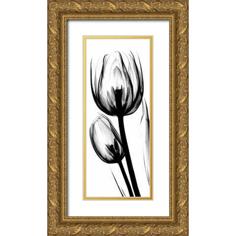 Tulip in BandW Gold Ornate Wood Framed Art Print with Double Matting by Koetsier, Albert
