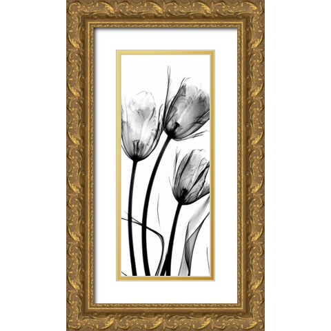 Tulips Gold Ornate Wood Framed Art Print with Double Matting by Koetsier, Albert