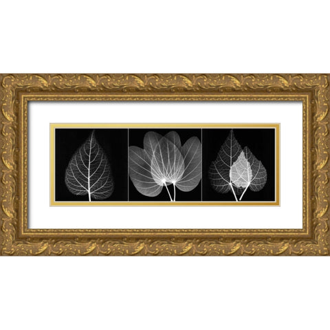 Leaf Triple on Black 2 Gold Ornate Wood Framed Art Print with Double Matting by Koetsier, Albert