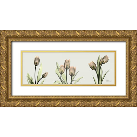 Spring  Tulip Triple Gold Ornate Wood Framed Art Print with Double Matting by Koetsier, Albert