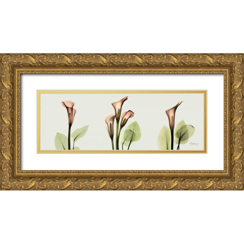 Spring Calla Lily Triple Gold Ornate Wood Framed Art Print with Double Matting by Koetsier, Albert