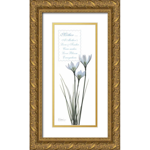 White Rain Lily - Mother Gold Ornate Wood Framed Art Print with Double Matting by Koetsier, Albert