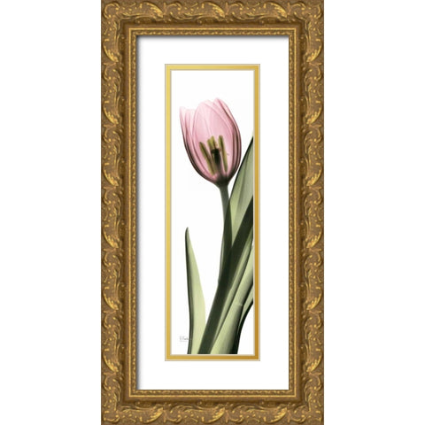 Tulip in Color 2 Gold Ornate Wood Framed Art Print with Double Matting by Koetsier, Albert