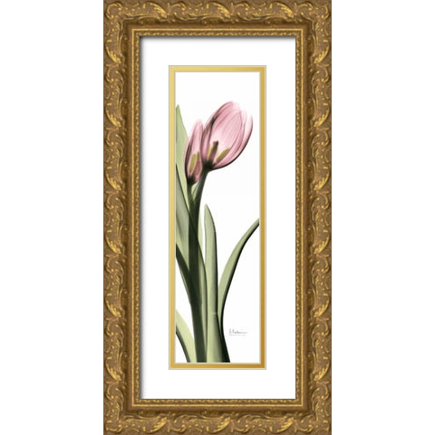 Tulip in Color 1 Gold Ornate Wood Framed Art Print with Double Matting by Koetsier, Albert
