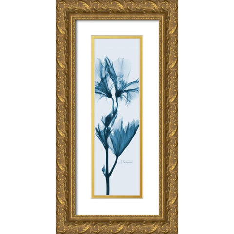 Geranium in Blue Gold Ornate Wood Framed Art Print with Double Matting by Koetsier, Albert