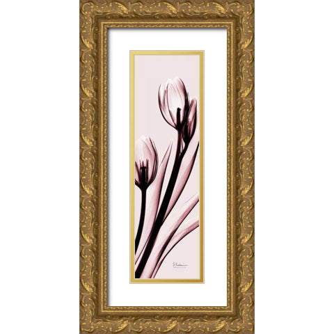 Tulip on Pink Gold Ornate Wood Framed Art Print with Double Matting by Koetsier, Albert