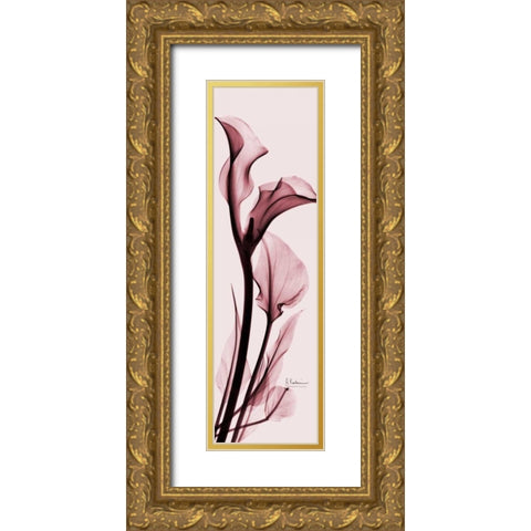 Calla Lily on Pink Gold Ornate Wood Framed Art Print with Double Matting by Koetsier, Albert