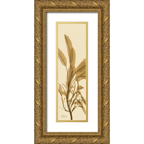 Sage Brown on Beige Gold Ornate Wood Framed Art Print with Double Matting by Koetsier, Albert